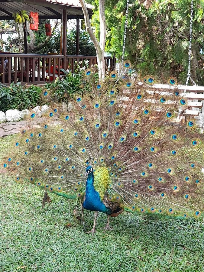 Finca Campestre Rancho Alegre Hotel Fusagasuga Bagian luar foto